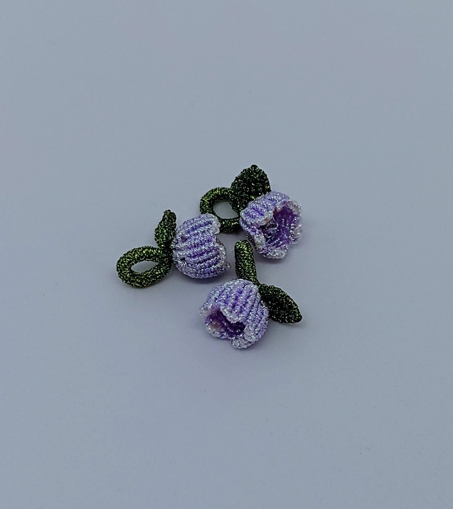 Purple tulip