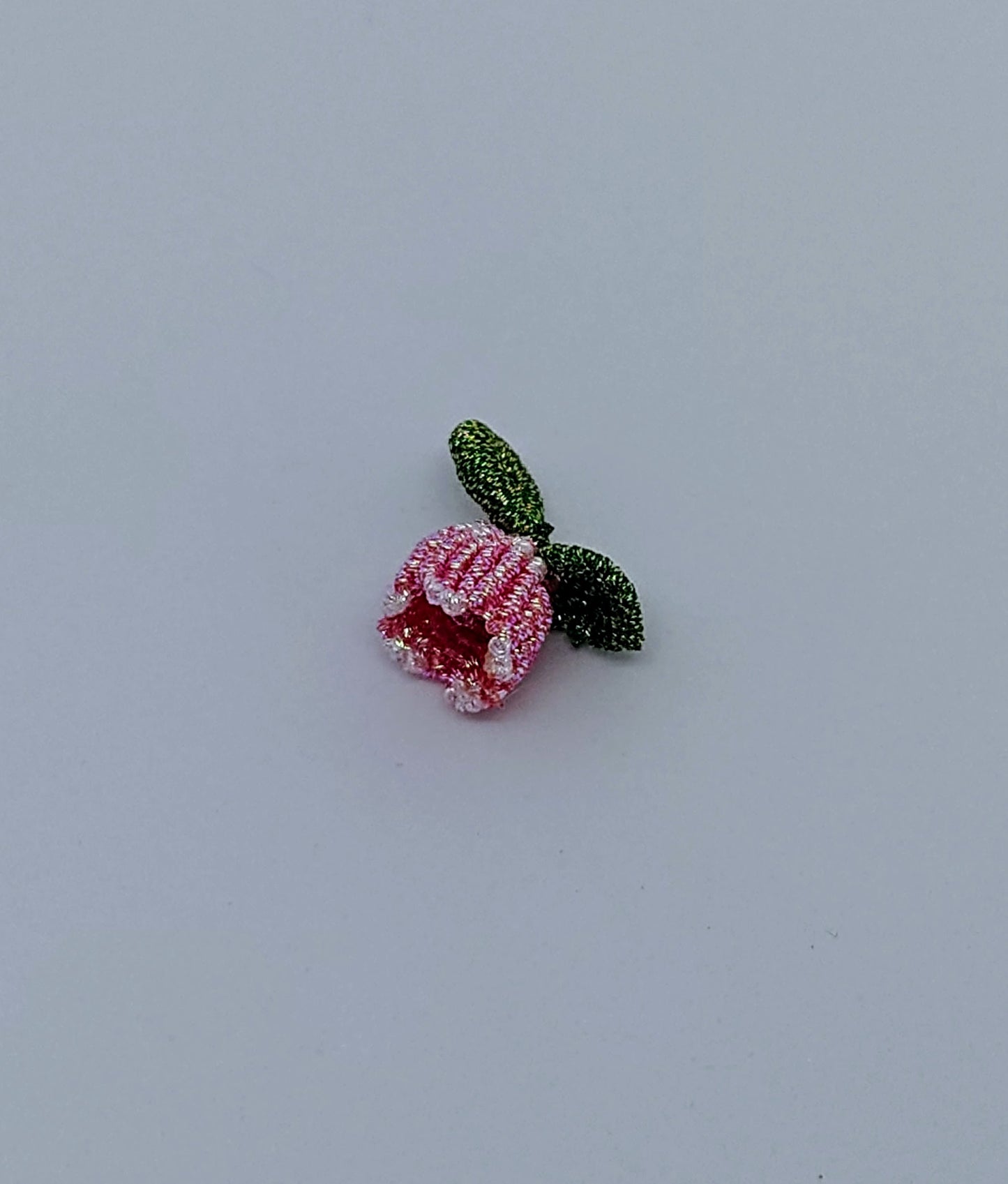 Pink Tulip